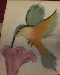 Powered by create your own unique website with customizable templates. Humming Bird Chalk Pastels Drawing By Rin7marie On Deviantart