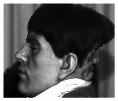 EDWARD MORDAKE