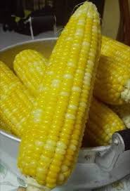 Pengeluaran jagung di peringkat ladang yang berjaya adalah bergantung kepada aplikasi input yang betul tanpa memberi kesan negatif kepada persekitaran. Walau Hanya Sekadar Rebus Jagung Ada Juga Tipsnya Keluarga