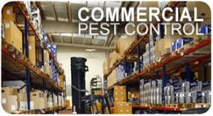 Canada pest control services in mississauga, brampton and toronto. Commercial Service Mr Rescue Pest Control
