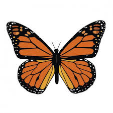 Free Free 314 Vector Flying Butterfly Svg SVG PNG EPS DXF File