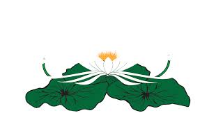 Feb 27, 2011 · arti dan makna lambang psht. Psht Rayon Cibesel Bunga Terate Hight Res Png