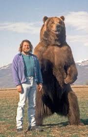 Never Forget The Most Friendly Bear Bart Bart The Bear Bear Pictures Animals