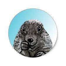 A Cute Prairie Dog Drawing Classic Round Sticker Animal Gift Ideas Animals And Pets Diy Customize Dog Drawing Diy Stuffed Animals Prairie Dog