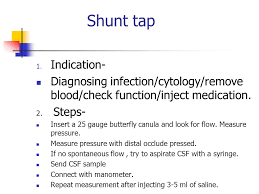 Hydrocephalous An Excessive Accumulation Of Csf Within The Head Due To A Disturbance Of Formation Flow Or Absorption If Left Untreated The Patient May Ppt Video Online Download