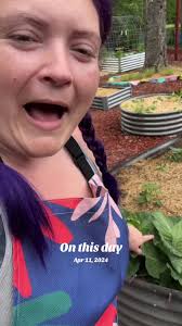 Maybe a little too excited about some cabbage but it was my first ever  #cabbage #harvest #garden #gardening #gardenharvest#onthisday