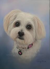 Little Zola ❤ She is