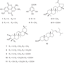 Image result for Klainedoxa