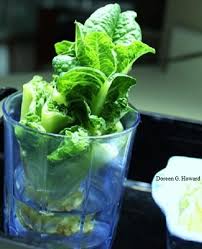 We did not find results for: Growing Lettuce From Stems In Water The Old Farmer S Almanac