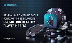 Responsible Gambling Tools for iGaming B2B Solutions | Digitain