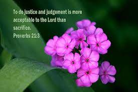 They are a gift meant to bless. Violet Flowers With Proverbs Scripture Photograph By Linda Phelps