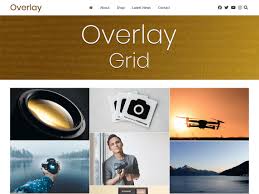 I have a standard image (that is responsive because of bootstap) and would like to overlay a standard grid 5% x 5% on top of it. Overlay Child Grid Wordpress Theme Wordpress Org