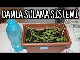 Çiçekleri sulama yöntemi evde yokken çiçek sulama tatildeyken çiçekleri sulamak çiçek nasıl sulanır ilginç çiçekler tatilde olsanız. Tatildeyken Cicekleriniz Susuz Kalmasin Damla Sulama Sistemi Youtube