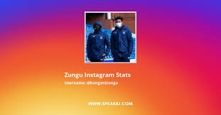 Facebook gives people the power to. Zungu Instagram Followers Statistics Analytics Speakrj Stats