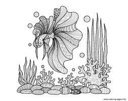 You need to use these photo for backgrounds on personal computer with high quality resolution. Adult Zentangle Fish On Corals By Bimdeedee Coloring Pages Printable