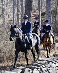 Maple — T.H.A.N.K.S. -A- LOT FARM