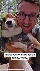 not many dogs can say they were loved by millions. thank you, teddy. 💜