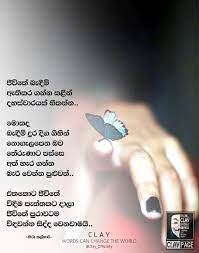 Check spelling or type a new query. Adara Wadan Adara Wadan Added A New Photo