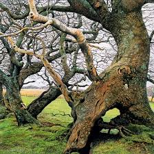 Pretty Use Of Colors Menggambar Dengan Pensil Cara Menggambar Pensil Warna