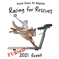 Shelby rescue dog raleigh, nc. Racing For Rescues Raleigh