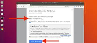 This second method is suitable for windows administrators that wish to deploy chrome to a number of windows 10 pcs at. How To Install Google Chrome In Ubuntu Linux Mint Omg Ubuntu