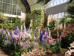 winter gardens in auckland domain