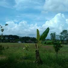 Sungai petani is a federal constituency in kuala muda district, kedah, malaysia, that has been represented in the dewan rakyat since 1959. Fotos Bei Padang 2 Taman Sejati Indah Sungai Petani Kedah