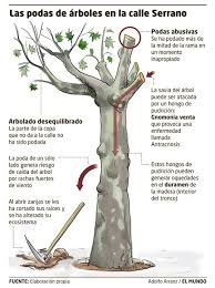 Ilustrador Adolfo Arranz Data Visualization Infographic Visualisation