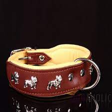 This collar is exactly like the pic show. French Bulldog Leather Dog Collar 40mm Dogaholic