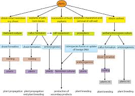 The Major Area Of Plant Cell And Tissue Culture And Its Application Download Scientific Diagram