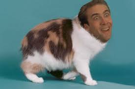 You Don T Say Nicolas Cage Nicholas Cage Face Nicholas Cage Meme