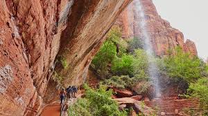 The subway of zion national park is a great utah slot canyon. Waterfalls In Zion National Park