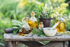 Cada persona tiene un plan de tratamiento diferente, basado. 136 Plantas Medicinales Y Sus Usos Para La Salud Bioguia Bioguia