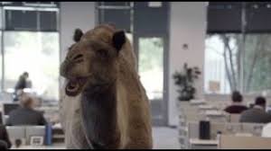 Compatible with apple iphone & ipad. Geico Hump Day Remix Guess What Day It Is Camel Final Happier Than A Camel On Wednesday Youtube
