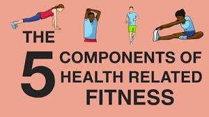 Although essential oils have long been used in traditional and alternative health practices, in recent years researchers have also begun to study their purported health benefits. The 5 Components Of Health Related Fitness A Video Overview Tpt