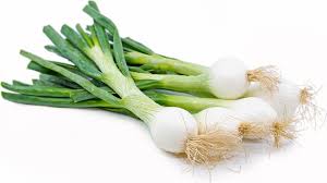 Spring Onions Information And Facts