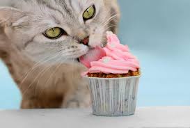 Backe, backe kuchen mit katzen. Rezepte Fur Katzentorten Mit Verschiedenen Lebensmitteln Deine Tiere