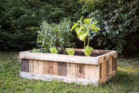We did not find results for: Diy Raised Garden Bed Upcycled Wood Pallet Black Decker
