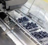 Blueberry Packhouses: Modern Grading & Packing Solutions | TOMRA