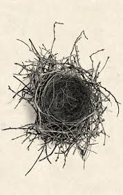 We did not find results for: Meghan Markle And Prince Harry Show Off 360 Bird Nest Photographs In New Video Interview Daily Mail Online