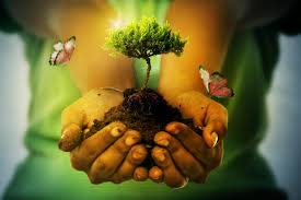 Hoy, en el 51.º día de la tierra, debemos trabajar juntos para combatir la crisis climática y restaurar nuestra tierra en beneficio de todos. Dia Mundial De La Tierra Una Ocasion Para Tomar Conciencia El Carabobeno