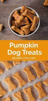 Pumpkin Dog Treats Recipe Easy Dog Treat Recipes Dog Biscuit Recipes Vegan Dog Treats