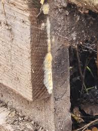 Image result for site:byggahus.se cellulosa