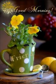Good Morning Friends Good Morning Friends Good Morning Images Good Morning Greetings