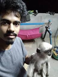 Mehsana Animal Helpline