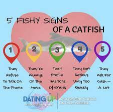 If they move too quickly into the realm online love and commitment, try not to be flattered. How To Spot A Catfish Catfish Online Online Dating Online Relationship