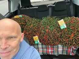 Beck's Bunch is back, baby! 💐 This week she's whipped up a stunner! Mum  chrysanthemums, gerbs, green button daisies, snapdragons, roses and wax,  all fluffed up with fresh foliage. Beck's Bunch is