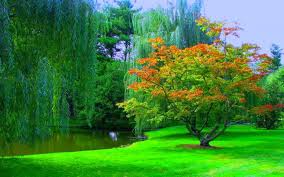 We did not find results for: Nature Wallpapers Download Poto Butut