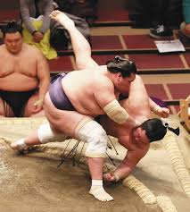 ç…§ãƒŽå¯Œå£«ãŒåƒç§‹æ¥½ã« å¤§ããª 11å‹ç›® 2å ´æ‰€åˆã‚ã›24å‹ å…«è§'ç†äº‹é•· ç«‹æ´¾ã˜ã‚ƒãªã„ã§ã™ã‹ å¤§ç›¸æ'² ä¸­æ—¥ã‚¹ãƒãƒ¼ãƒ„ æ±äº¬ä¸­æ—¥ã‚¹ãƒãƒ¼ãƒ„