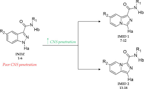 An immunomodulatory drug | meaning, pronunciation, translations and examples. Exploration Of Imid 1 And Imid 2 Derivatives 7 18 Starting From Download Scientific Diagram